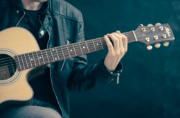 guitarist
