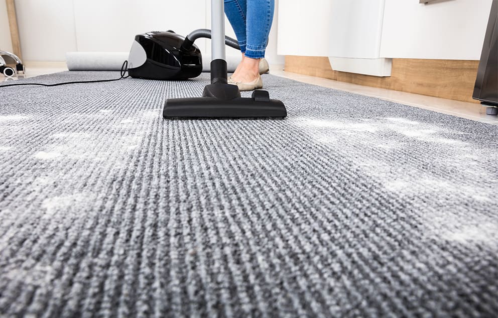 Who is Responsible For Professional Carpet Cleaning When Moving Out of Apartment